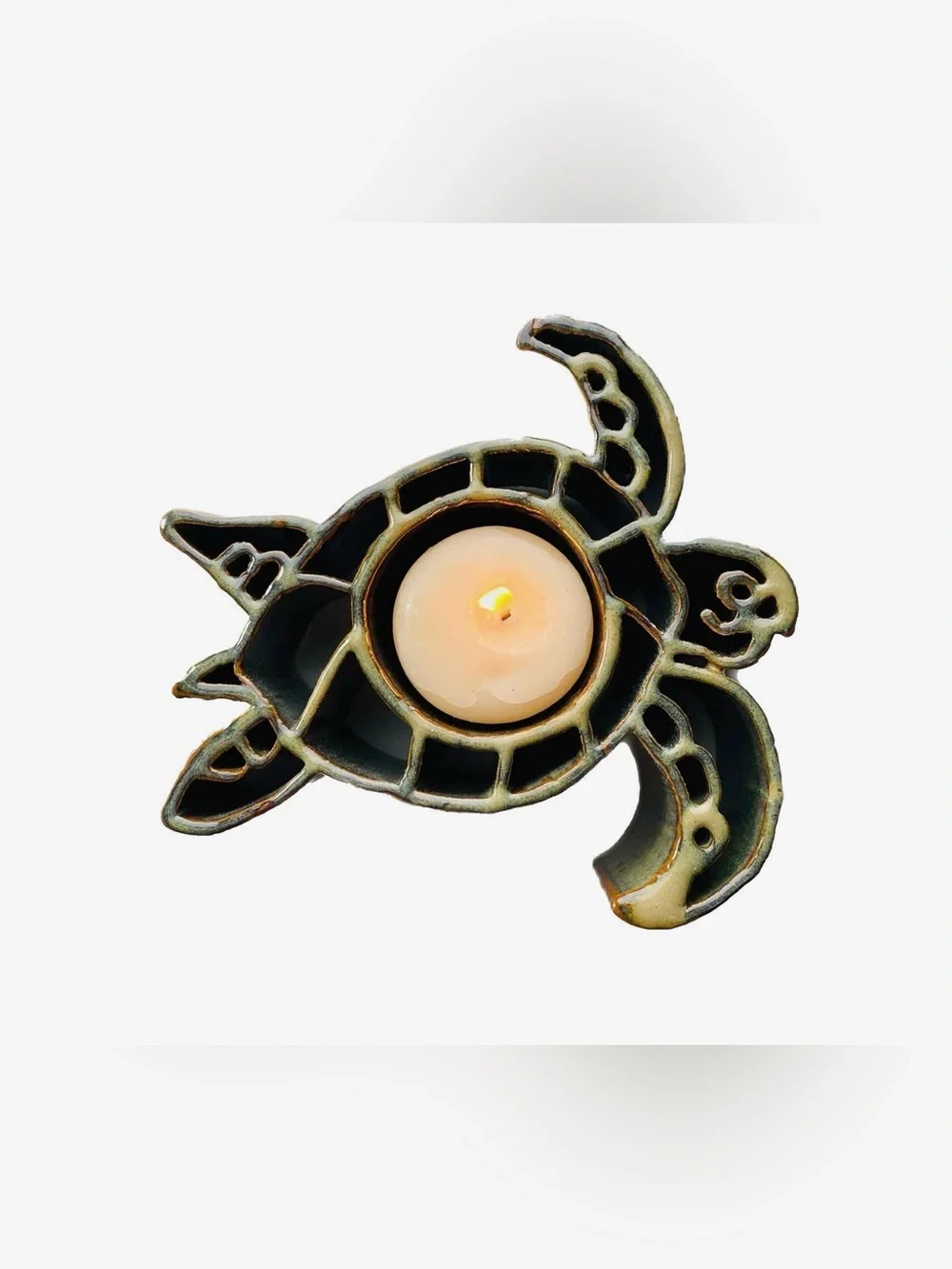 N/A charming turtle